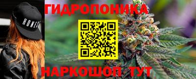 гашик Малгобек