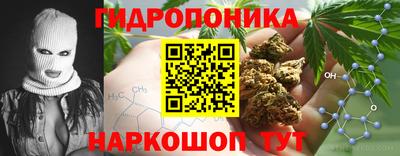 гашик Малоярославец
